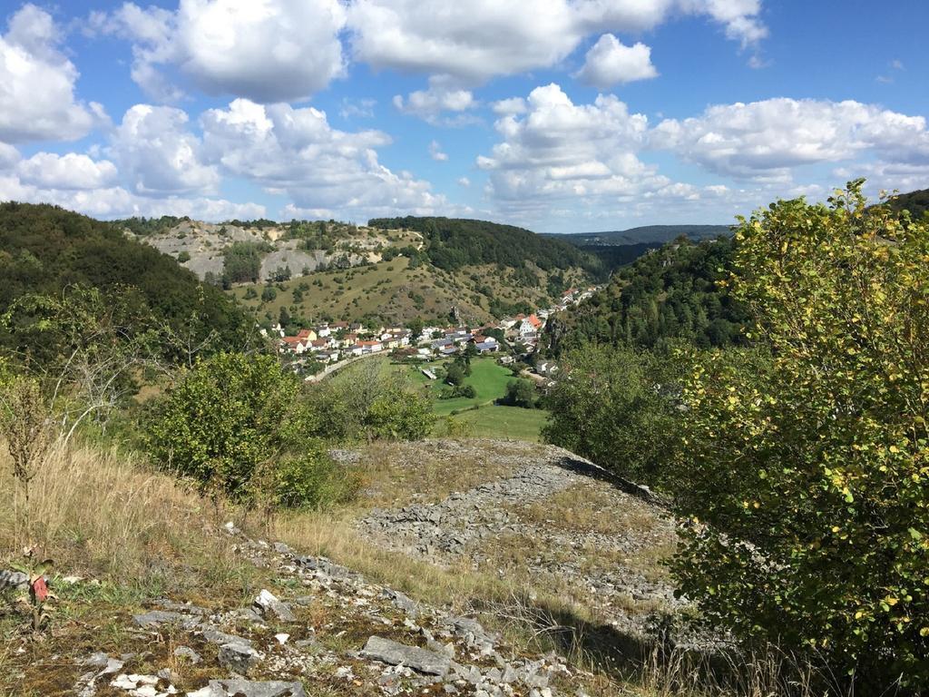 Haus "Am Muehlheimer Berg" Mörnsheim 外观 照片